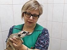 В Ростове демонтируют опору, установленную посреди тротуара