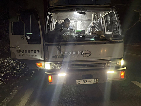 Автомобиль насмерть сбил женщину возле Кемерова