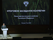 На заседании Коллегии Минсельхоза России подвели итоги работы министерства в 2024 году