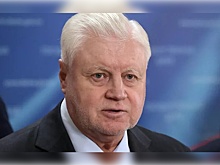 Депутат Госдумы Миронов: Обезумевшим украинским политикам необходимо помешать