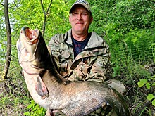 Нижегородский рыбак выловил сома весом более 20 кг