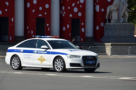 Петербургская полиция сорвала сходку стритрейсеров на Крестовском острове