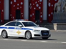 Петербургская полиция сорвала сходку стритрейсеров на Крестовском острове