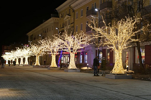Девять светящихся деревьев установят в центре Красноярска