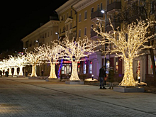 Девять светящихся деревьев установят в центре Красноярска
