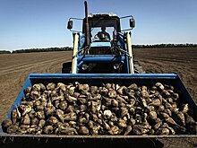 Село, которого больше нет. Во что превратились советские колхозы?