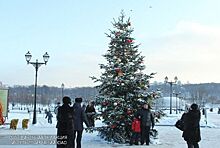 Новый год в музее-заповеднике "Царицыно": что ждет гостей сегодня?