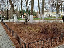 В Кирове начали обрабатывать парки и скверы от клещей