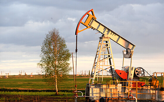 Нефть подорожала за неделю на 5%