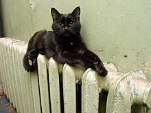 Батареи просят тепла: когда в Поволжье стартует отопительный сезон