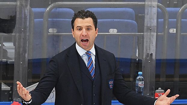 Главного тренера СКА Ротенберга удалили до конца матча с «Сибирью»