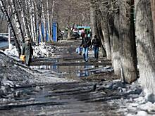 Куда жаловаться на мусор и грязь в Новосибирске: инструкция для горожан