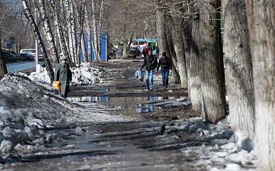 Куда жаловаться на мусор и грязь в Новосибирске: инструкция для горожан
