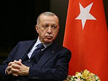 Эрдоган не сомневается, что Турция и РФ договорятся о строительстве АЭС