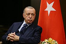 Эрдоган не сомневается, что Турция и РФ договорятся о строительстве АЭС