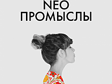 В Санкт-Петербурге пройдёт молодежный форум «NEO — Промыслы»