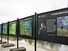Фотовыставка «Путешествие в лето» открылась в Гончаровском парке