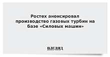 "Ростех" может разместить выпуск газовых турбин на мощностях "Силмаша"