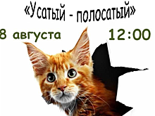 Центральная библиотека приглашает красногорцев поучаствовать во флешмобе «Усатый-полосатый»