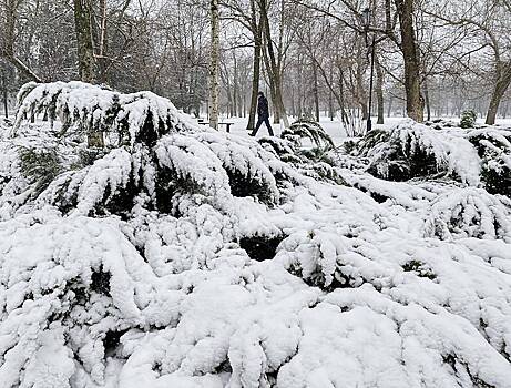 Аномальный снегопад обошелся российскому региону в 50 миллионов рублей