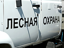 В Пензенской области в выходные выявлено четыре нарушения охотничьего законодательства
