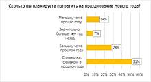 Райффайзенбанк: каждый пятый россиянин возьмет кредит на празднование Нового года