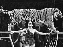 Мастер цирка, «помиривший» Турцию с СССР