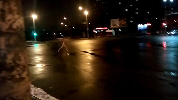 Опубликованы кадры забега голого парня по перекрестку в Малиновке