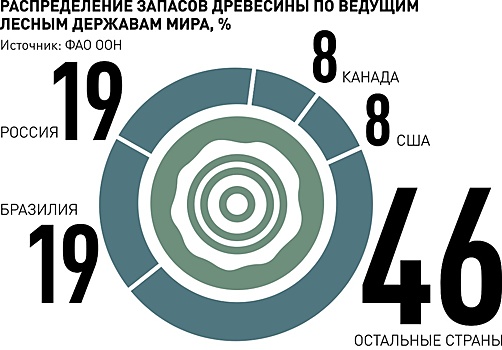 Нейросети выявляют незаконные рубки и предотвращают пожары