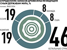 Нейросети выявляют незаконные рубки и предотвращают пожары