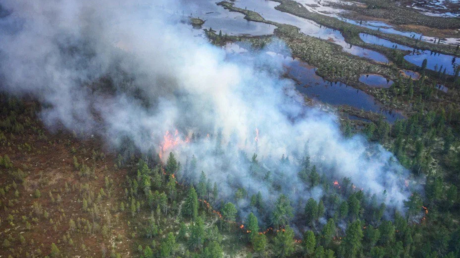 С 10 мая на Ямале начался пожароопасный сезон