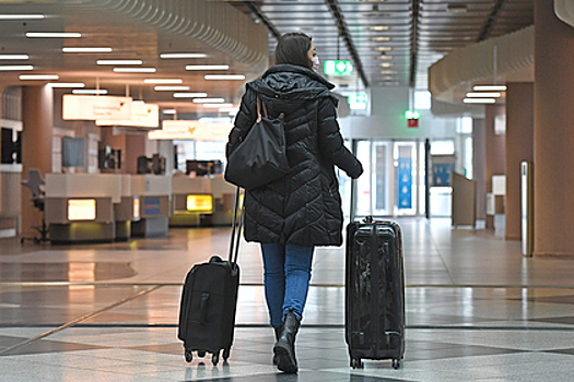 Американка после перелета нашла в чемодане вместо дорогих подарков собачий корм