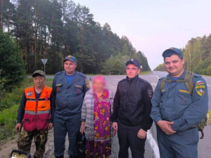 В Мордовии полицейские, сотрудники МЧС и волонтеры семь часов искали заблудившуюся в лесу пожилую женщину