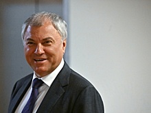 Эксперт оценил реакцию Володина на слова главы СКР о «Государственной дуре»