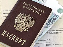 Многодетную семью из Петербурга чуть не лишили маткапитала