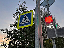 Ноябрьского водителя благодаря соцсетям наказали за проезд на красный свет