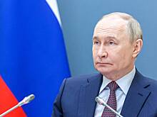 Путин пожаловался на иностранных жуликов среди фермеров