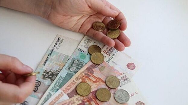 В Госдуме исключили введение базового минимального дохода