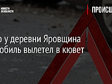 Ночью у деревни Яровщина автомобиль вылетел в кювет
