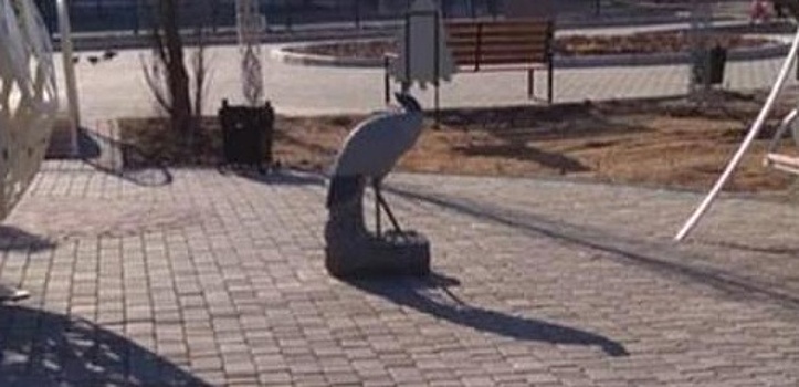 Вандалы атаковали реконструированный сквер в Приморье