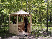 В Саратове на Кумысной поляне установят 10 новых беседок в 2023 году