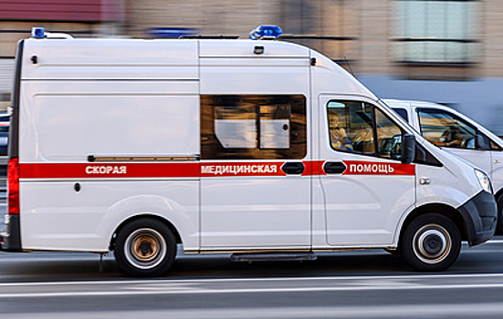 Что известно о ЧП с погибшими от удара молнии в Тульской области