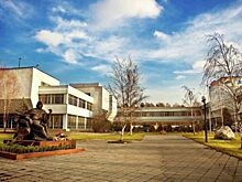 Ученые РФ  создали следящий за активностью мозга  датчик