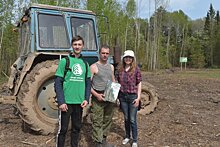 Волонтеры проекта «Друзья леса, шире круг!» добавили креатива в лесопосадки