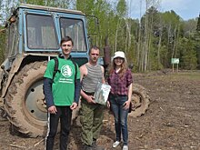 Волонтеры проекта «Друзья леса, шире круг!» добавили креатива в лесопосадки
