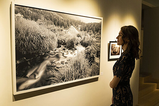 «Это особый формат для нашего города», – участники выставки «Пятый элемент. Любовь»