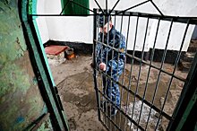 Бизнес-омбудсмен: В Калининградской области работают только 30% заключённых