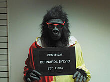 Фестиваль американского кино (Амфест) покажет жизнь маленького человека