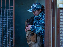 В Крыму в рамках Всероссийской акции «Студенческий десант» при поддержке Общественного совета студенты продолжили своё погружение в будни полицейских