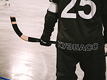 Кузбасские хоккеисты сыграют на мировом первенстве